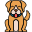 Dogs