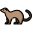 Ferret