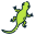 Anoles