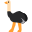 Ostriches