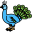Peafowl